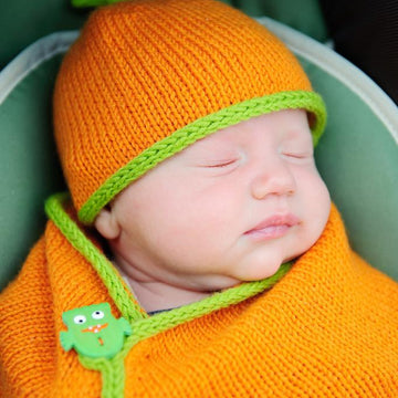 SnuggleBug Car Seat Cozy