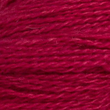Bougainvilla (073)