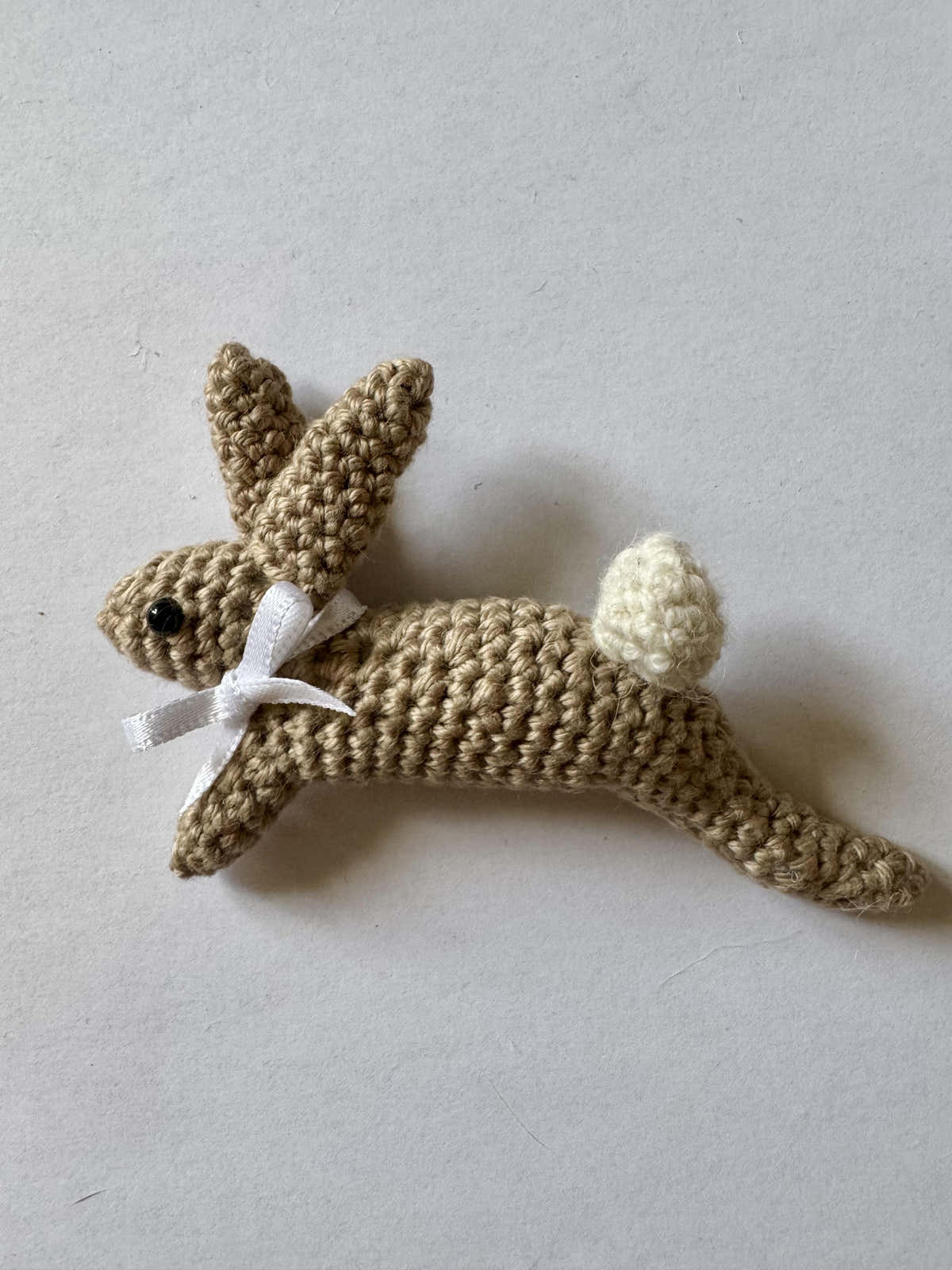 Leaping Spring Hare