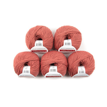 Valley Yarns Superwash DK 5 Ball Value Pack Yarn