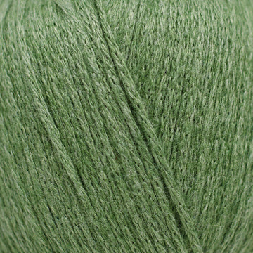 Sage (200788)