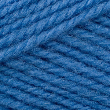 Hydrangea (3315)