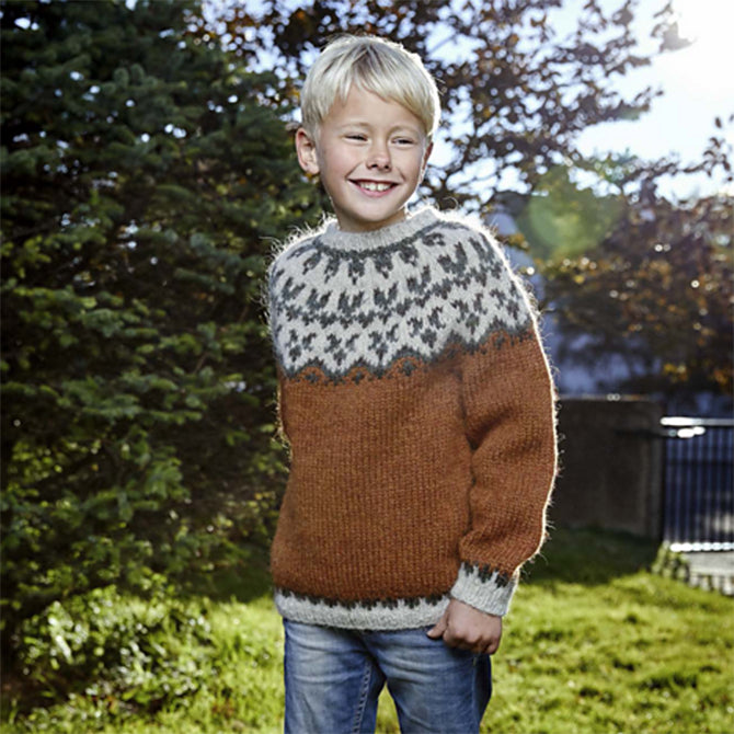 Lopi Book 38 Cardigan Knitting Pattern