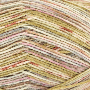 Browns, Light Grey, Rust (4503)