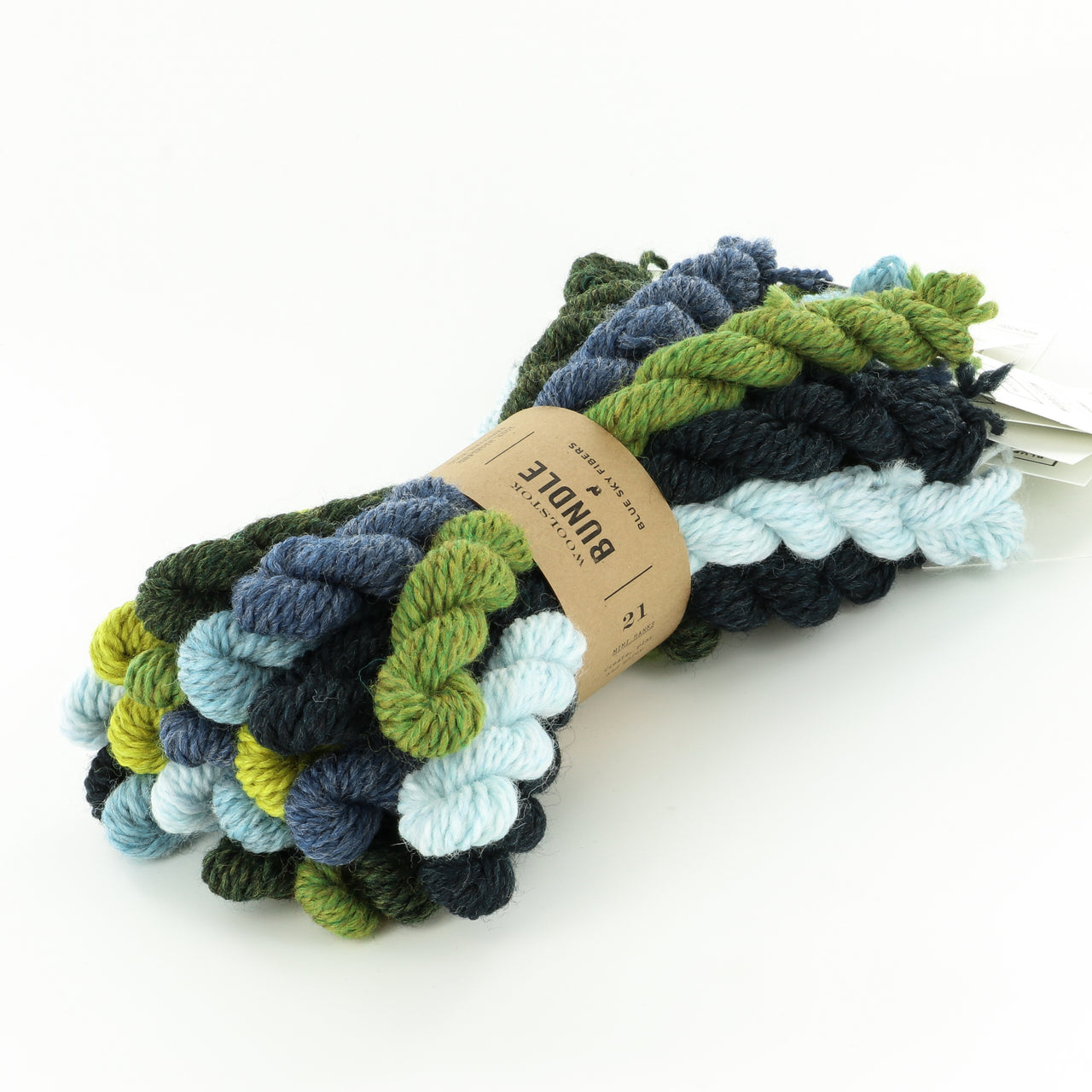 Blue Sky Fibers Woolstok Mini Hank Bundle Yarn - Wool Worsted