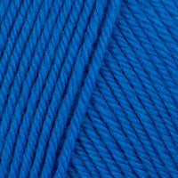 Blueberry (848)