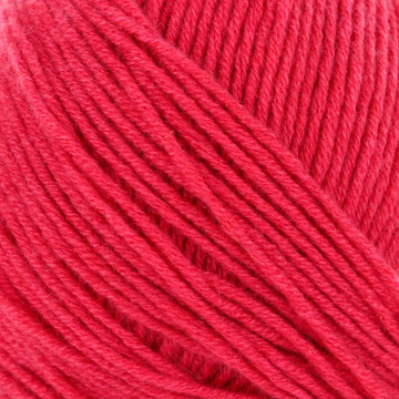 Dark Coral (201378)