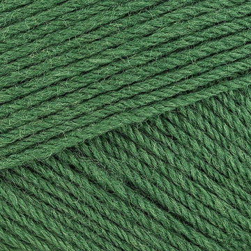 Fern (854)