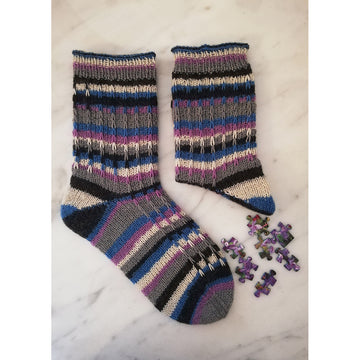 Regia Men's Style Color Booklet Socks Knitting Pattern