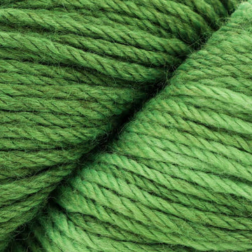 Forest Canopy (5227)