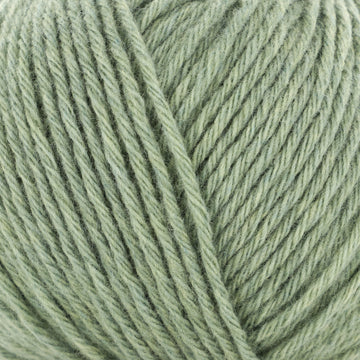 Sage (64)