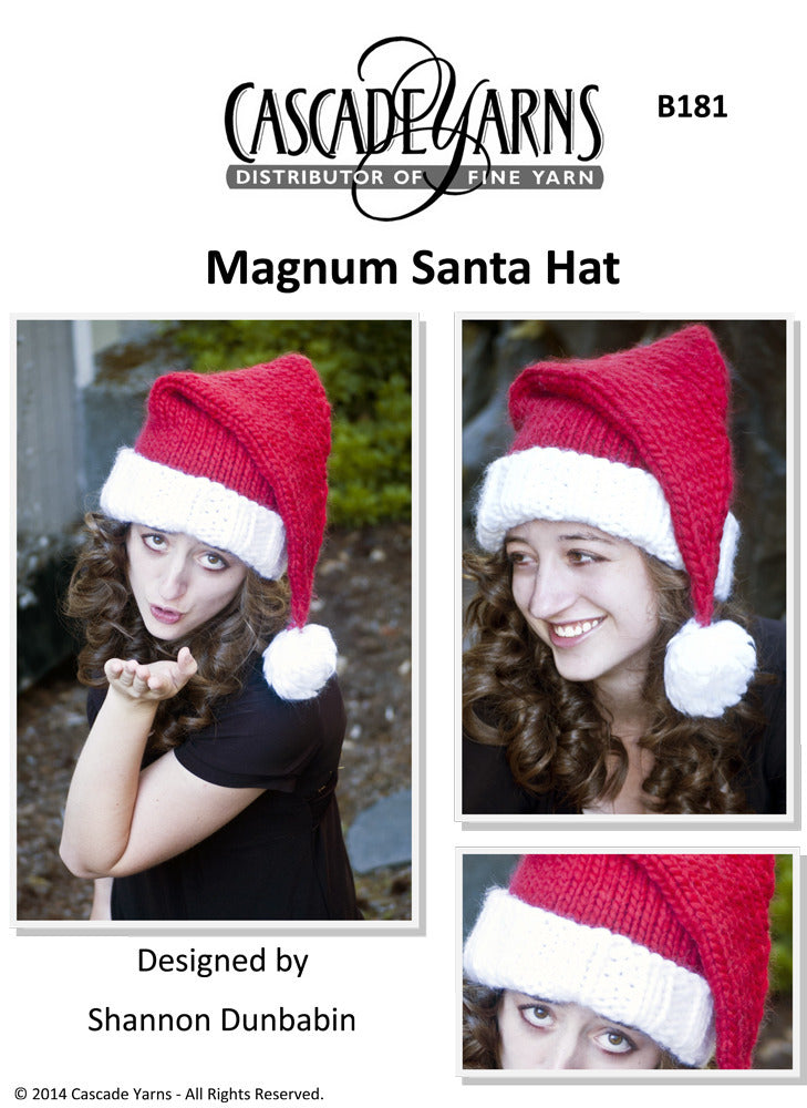 Santa Hat in Cascade Magnum - B181 - Free PDF