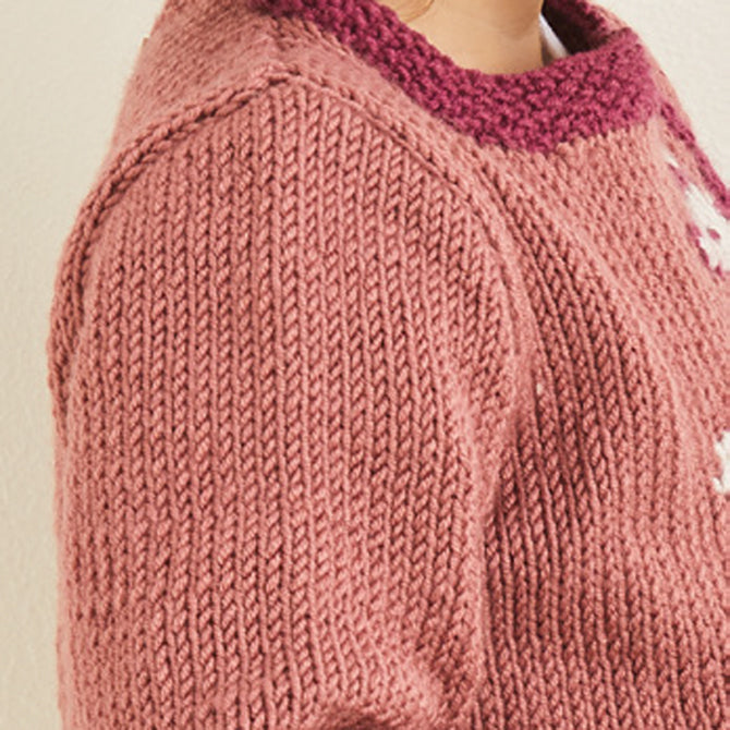 Sirdar Baby Sweater with Monkey Motif and Toy Knitting