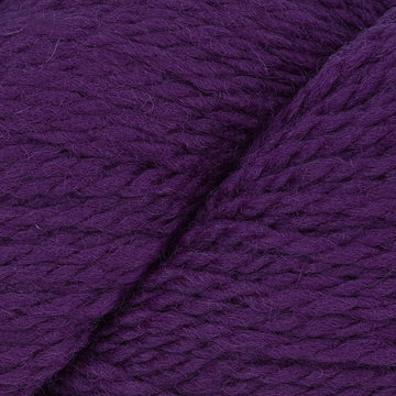 Concord Grape (9570)