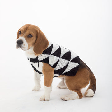 Modernist Dog Sweater in Lion Brand Vanna's Choice - L32308 PDF