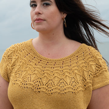 Berroco Top Knitting Pattern