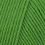 Green Apple (802)