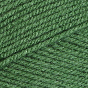 Forest (3380)