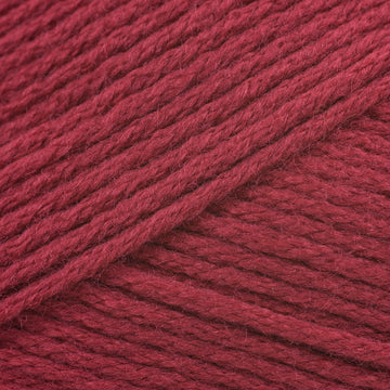 Teaberry (2730)