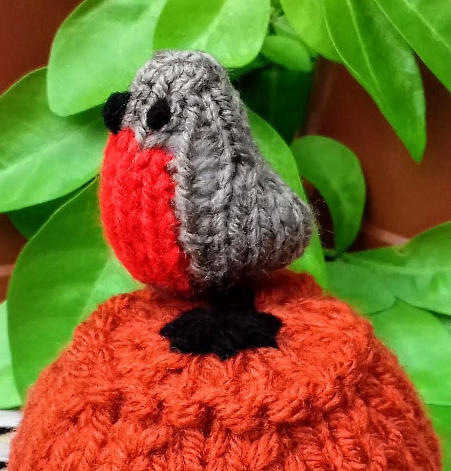 Garden Robin Flowerpot - Chocolate Orange Cover