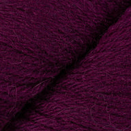 Raspberry (21)