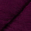 Raspberry (21)