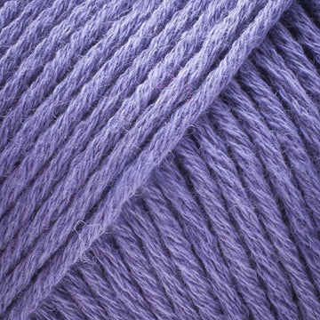 Prairie Lupine (CW800)