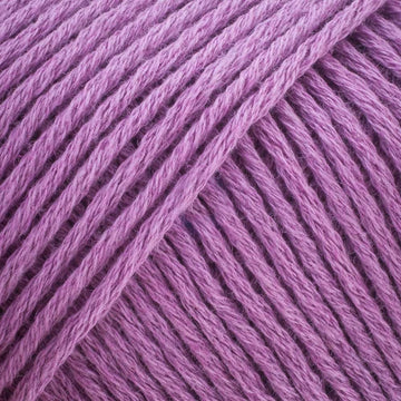 Majestic Orchid (CW915)