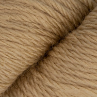Silver Fern (318)