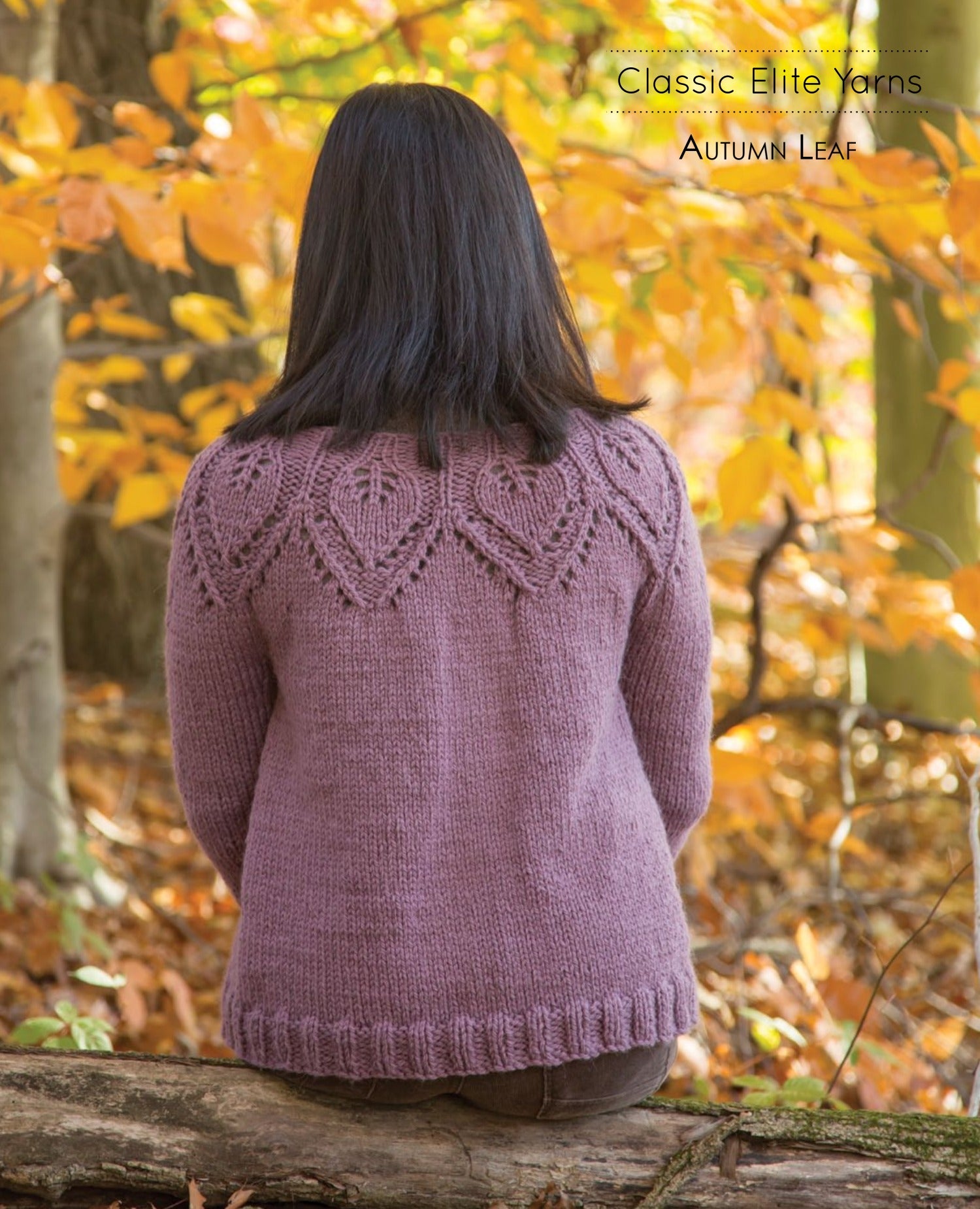 Classic Elite Yarns Autumn Leaf Knitting Pattern