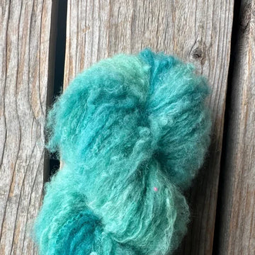 AM27