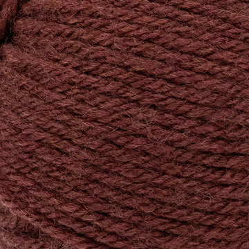 Cinnamon stick (133)