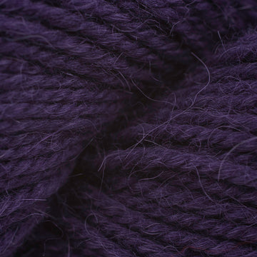 Eggplant (42105)