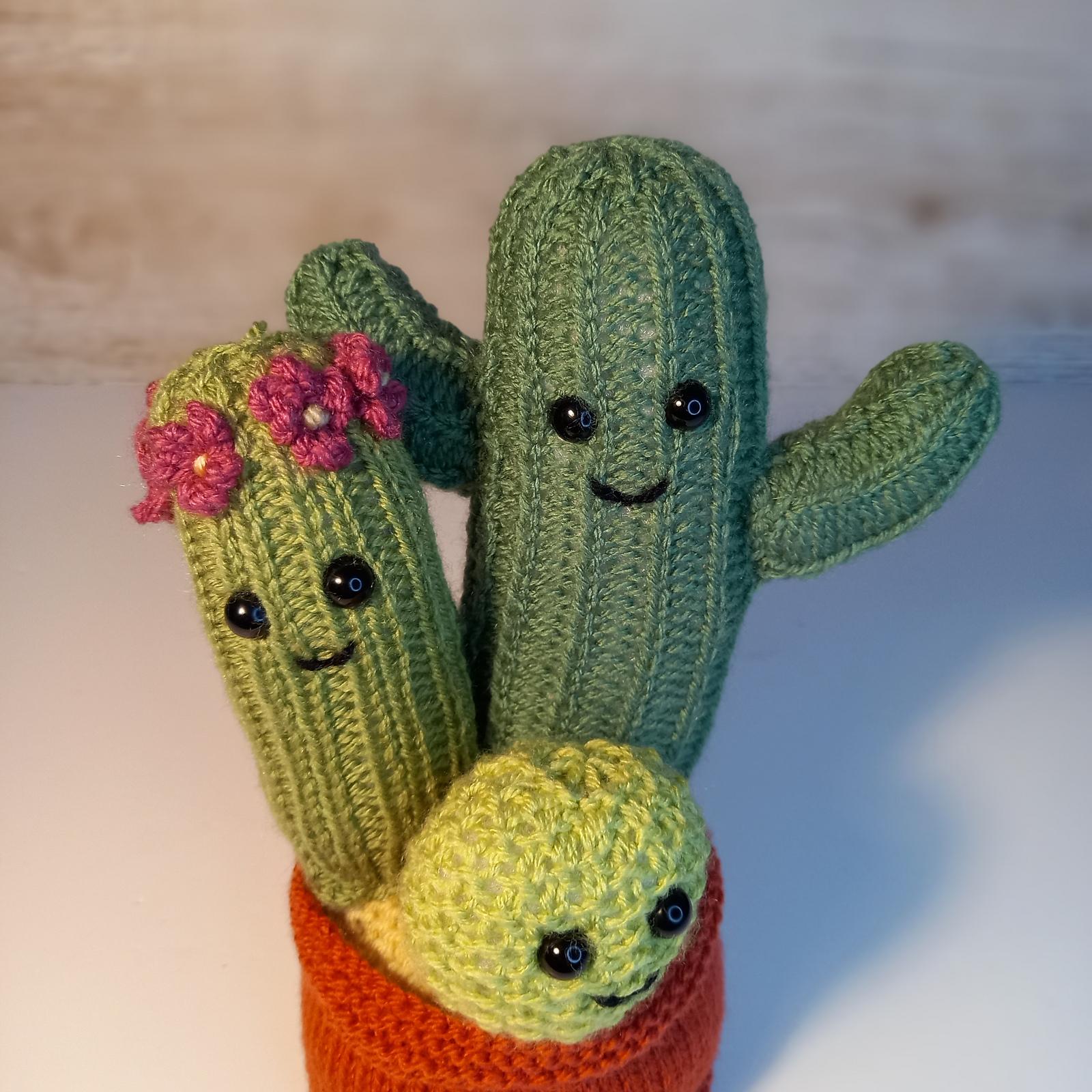 Knitted Cactus Family