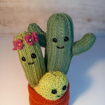 Knitted Cactus Family