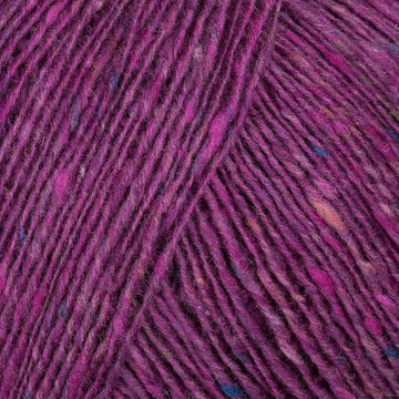 Fuchsia (9)