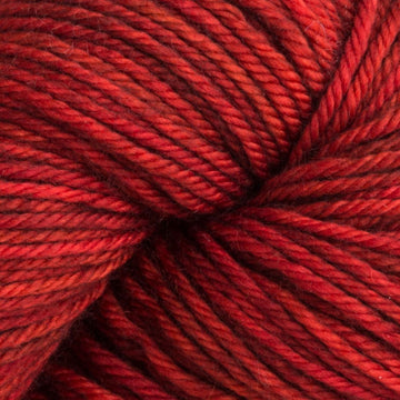 Robin Red Breast (261)