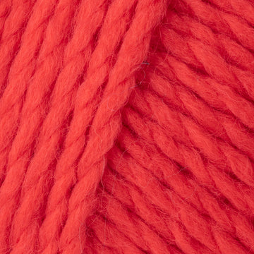 Begonia (6124)
