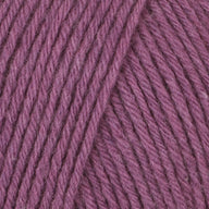 Grape (201077)