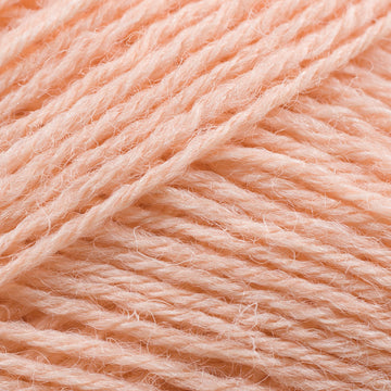 Salmon (06)