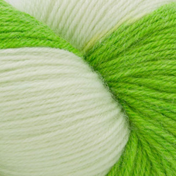 Lime (304)