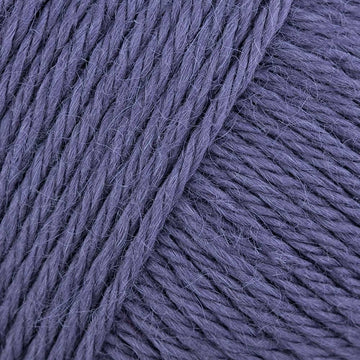 Plum (509)