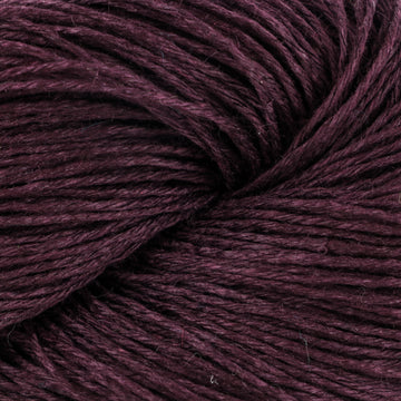 Eggplant (2424)