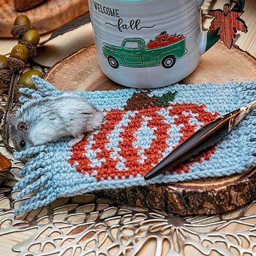 Pumpkin Mug Rug Crochet Coaster