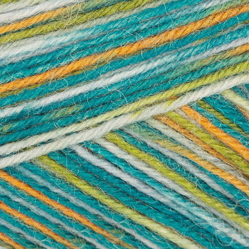 Hippie Bus Color (01294)