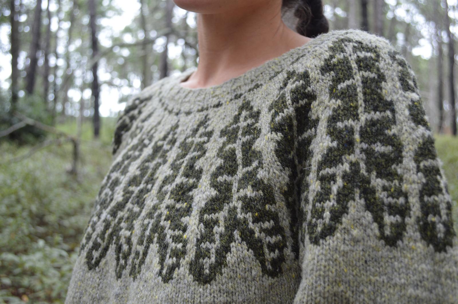 Alocasia Pullover