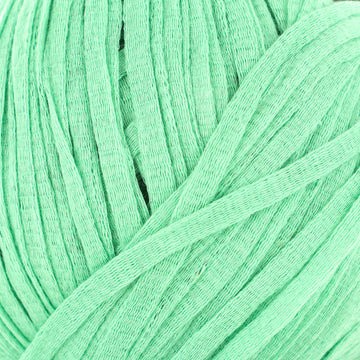 Light Jade Green (13)