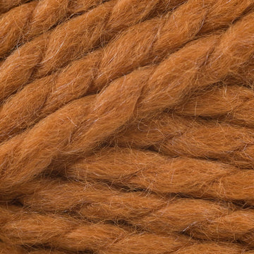 Apricot (136)
