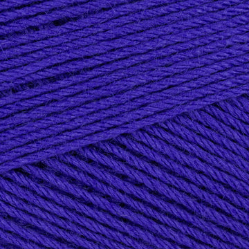 Wild Blueberry (12160B)