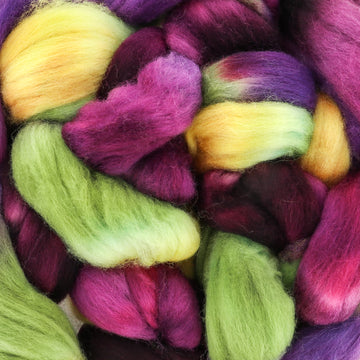 Frabjous Fibers Hand-Dyed Merino Top